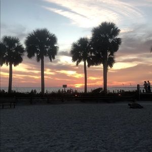 Meet your Posher, Jayden